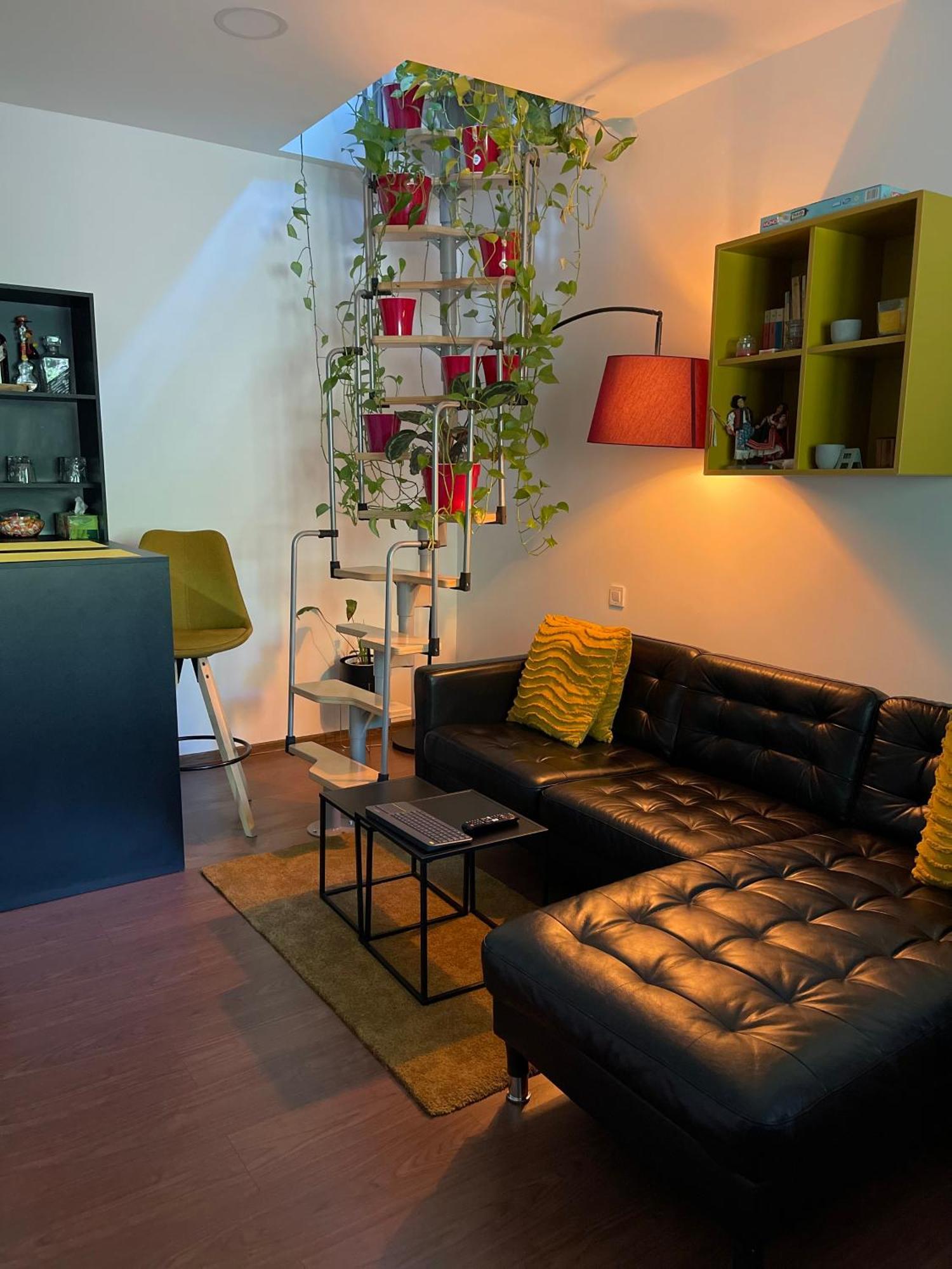 City Garden Apartments Bucharest Luaran gambar